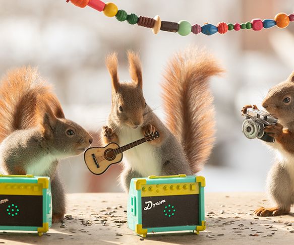 Squirrel band
