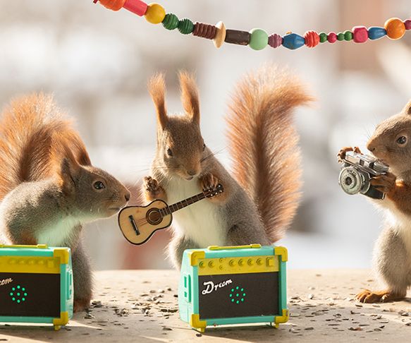 Squirrel band