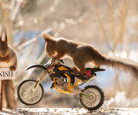 Squirrels finish